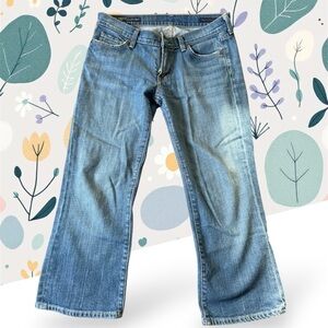 Citizens of Humanity Jeans, Kelly Low Waist Bootcut, Size 29